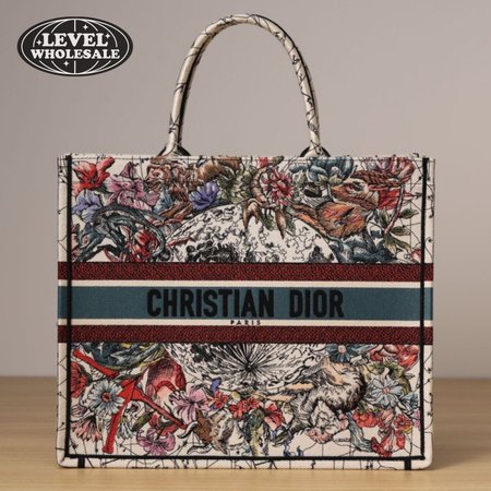 Dior Book Tote Bag