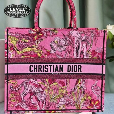 Dior Book Tote
