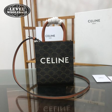 Celine Mini Vertical Cabas In Triomphe Canvas And Calfskin With Celine Print