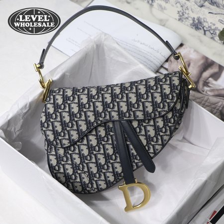 Dior Saddle M3351