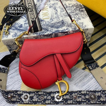 Dior Saddle 8587