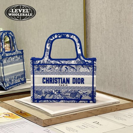 Dior Book Tote Mini M1286